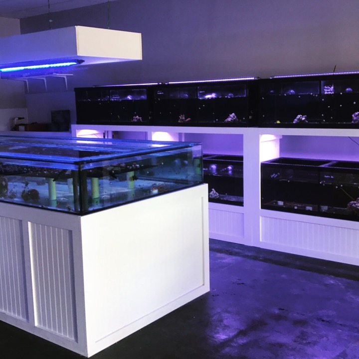 The Fish Store / Custom Aquariums - Photo 2