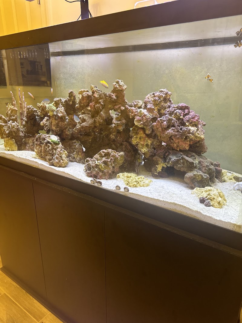 The Fish Store / Custom Aquariums - Photo 3