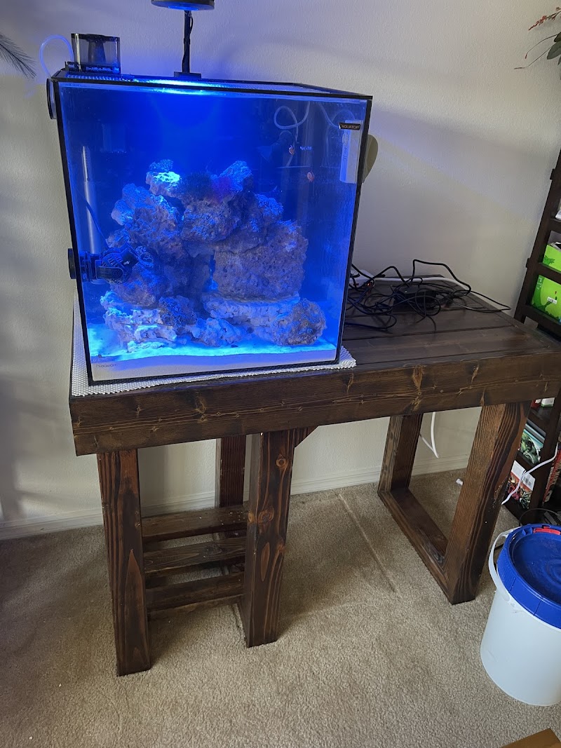 The Fish Store / Custom Aquariums - Photo 4