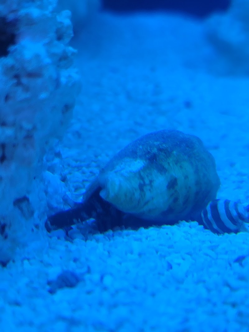 Reef Cleaners - Photo 4