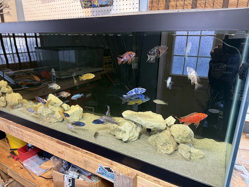 TCAquariums - Photo 3