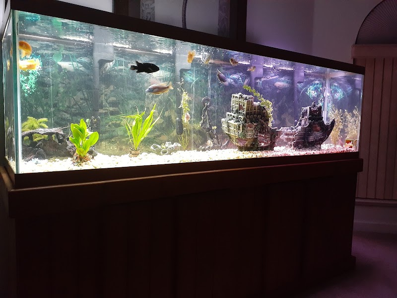 TCAquariums - Photo 4