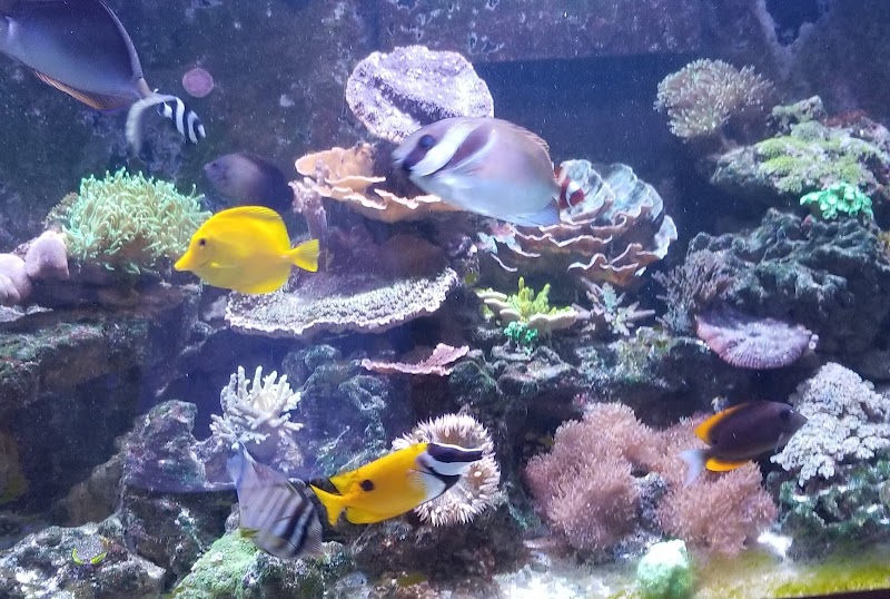 TCAquariums - Photo 5