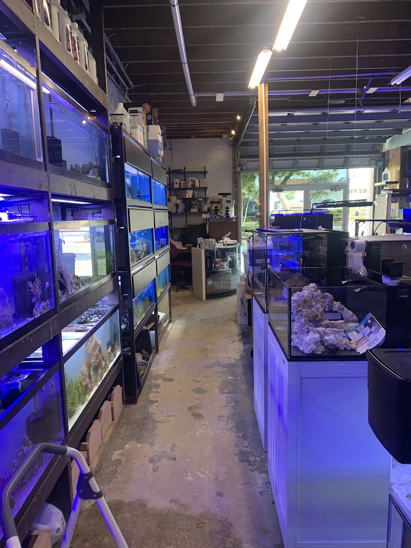 Aquarium shop - Photo 1