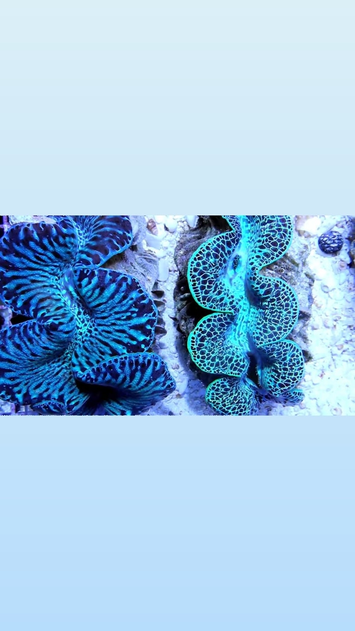 Aquarium shop - Photo 3