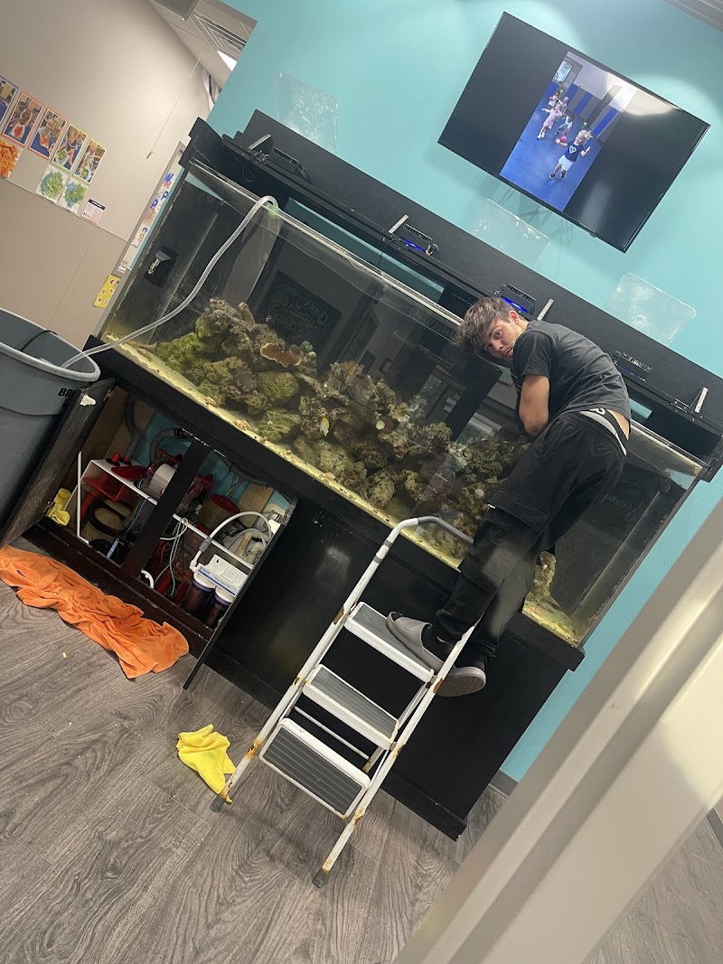 Wicked Sticks Aquarium Service and Maintenance - Photo 3