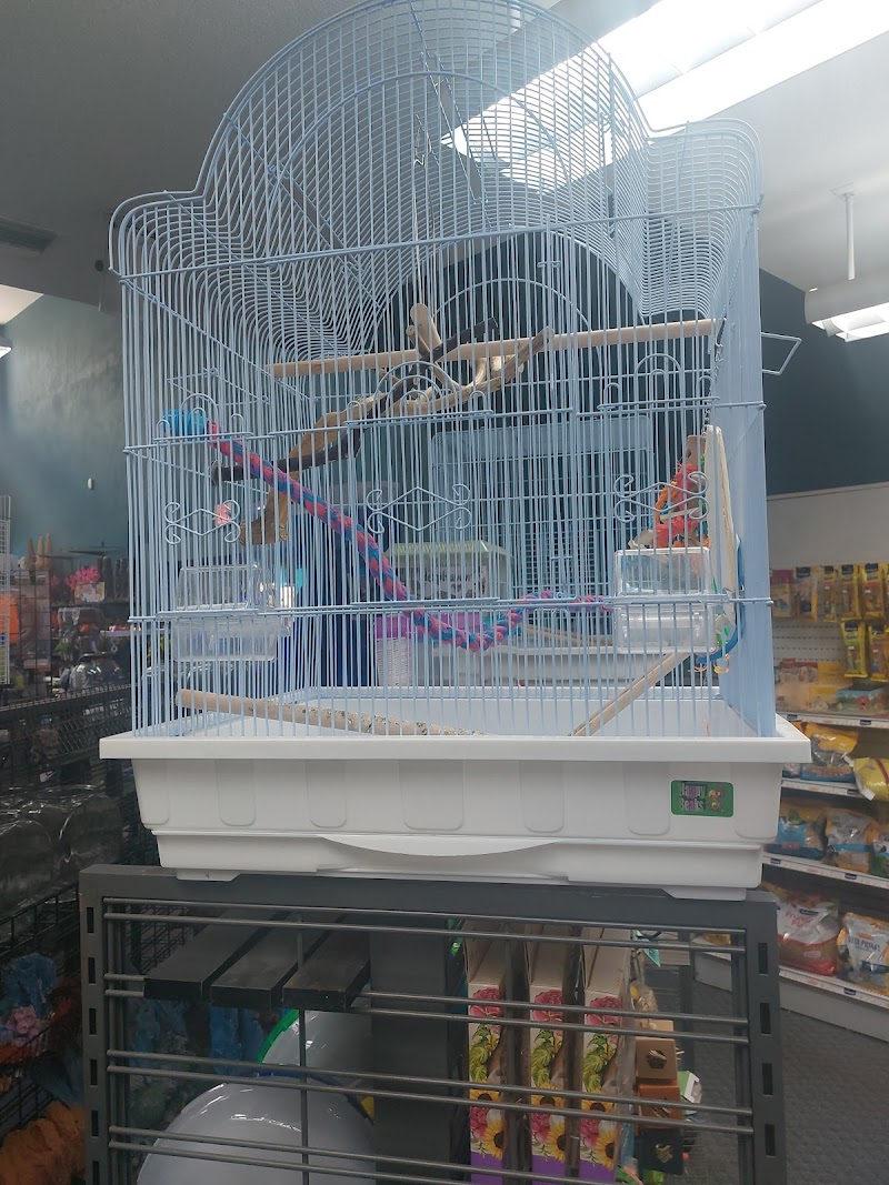 Seascape Aquarium & Pet Center - Photo 2