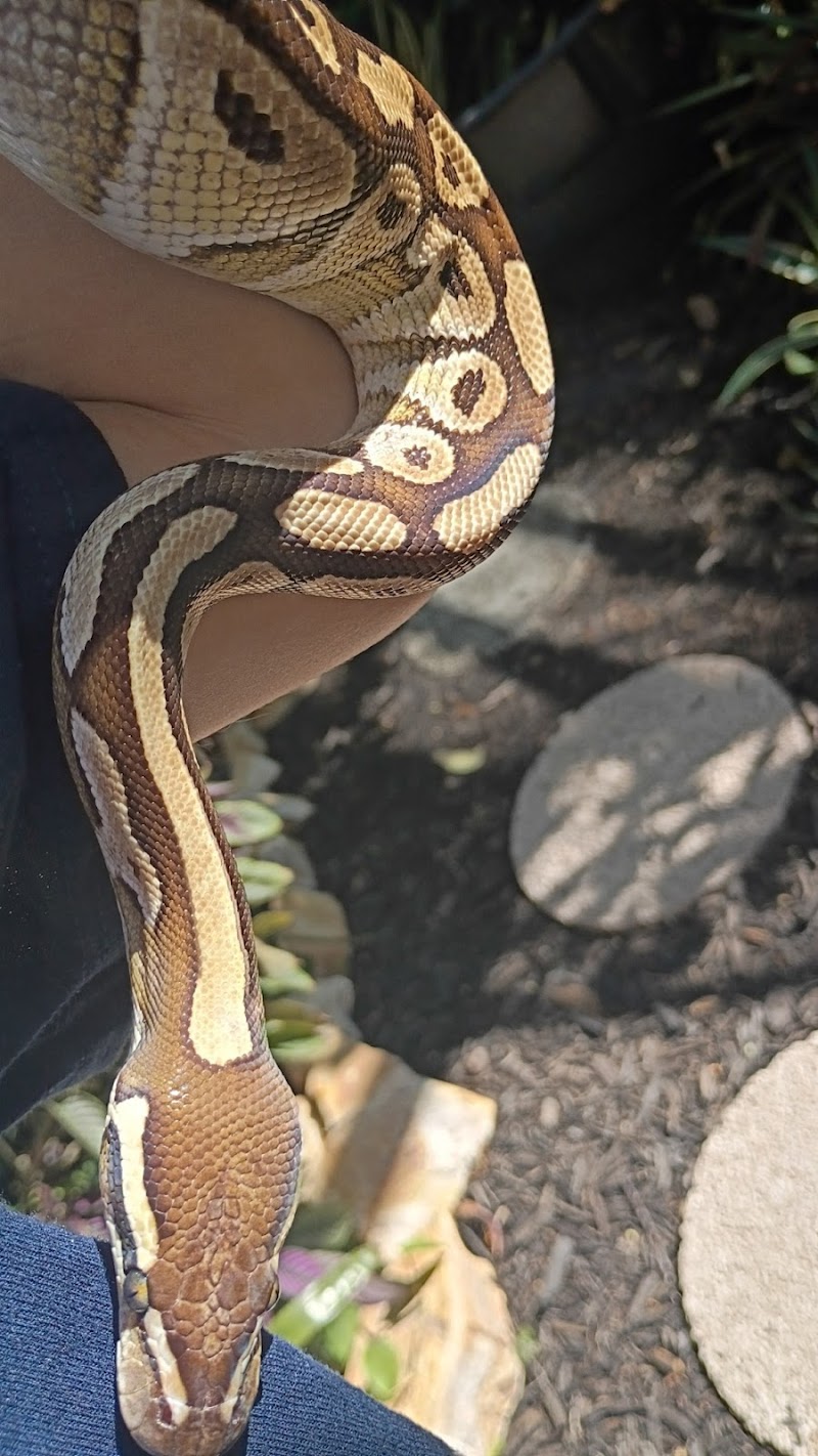 Seascape Aquarium & Pet Center - Photo 3