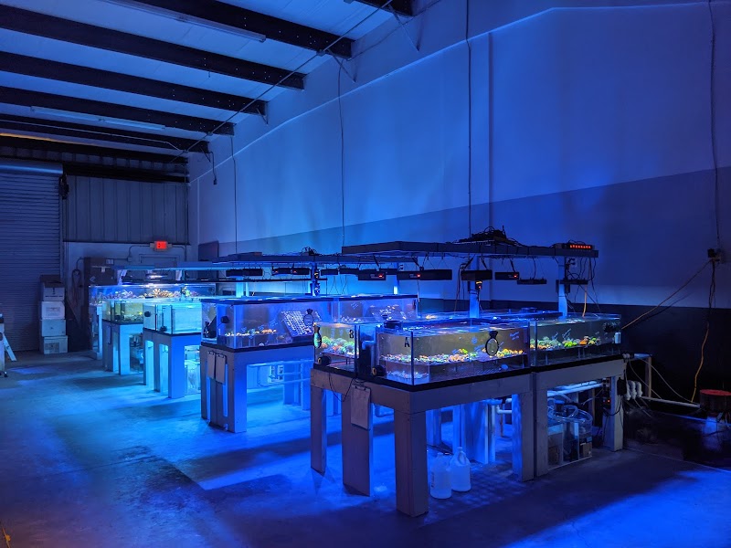 The Coral Zoo - Photo 3