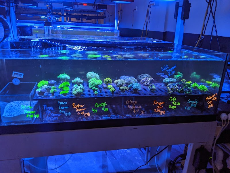 The Coral Zoo - Photo 4