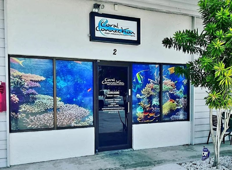 Coral Connection - Photo 1