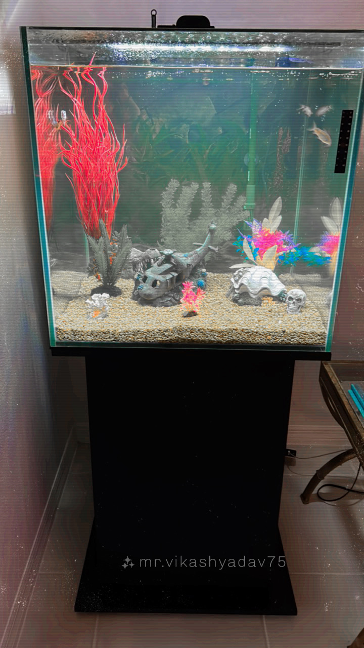 Atlantis Coral and Fish - Photo 2