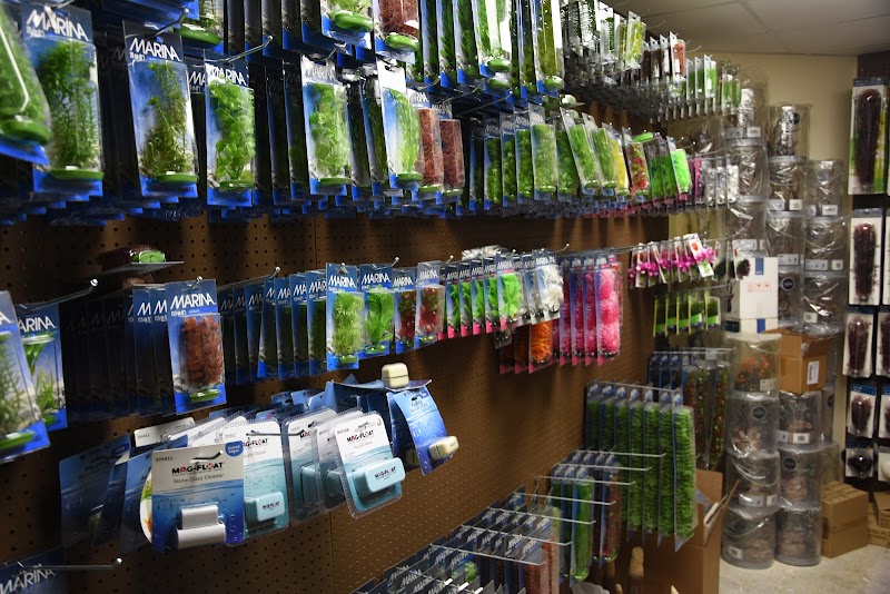 Fish Tanks Direct - Photo 2