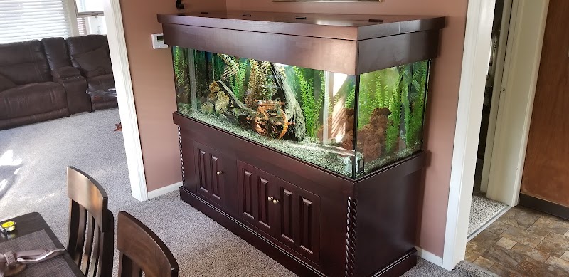 Fish Tanks Direct - Photo 3