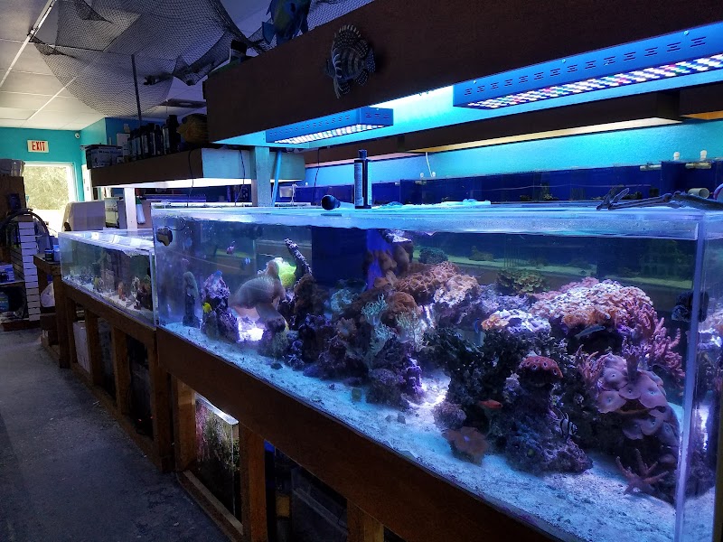 Treasure Cove Pet shop - Photo 2