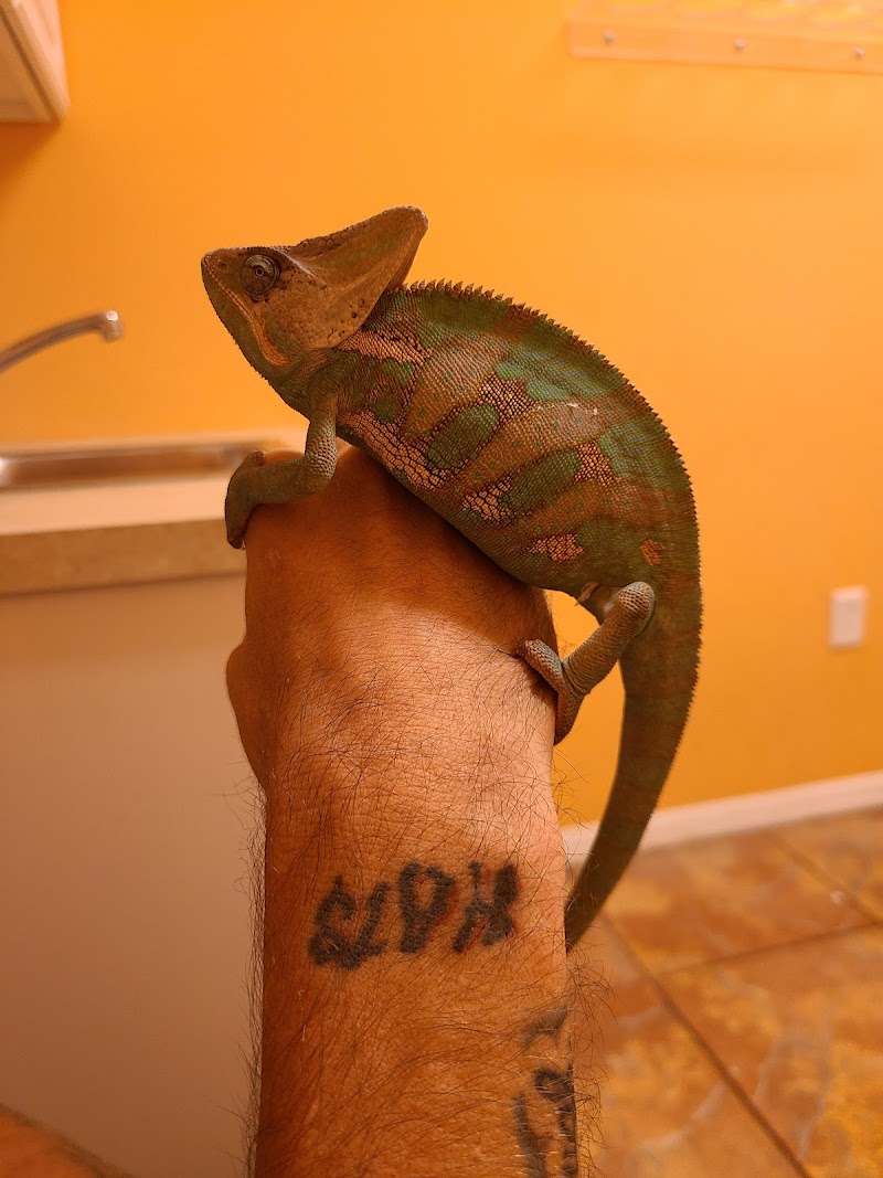 Treasure Cove Pet shop - Photo 3