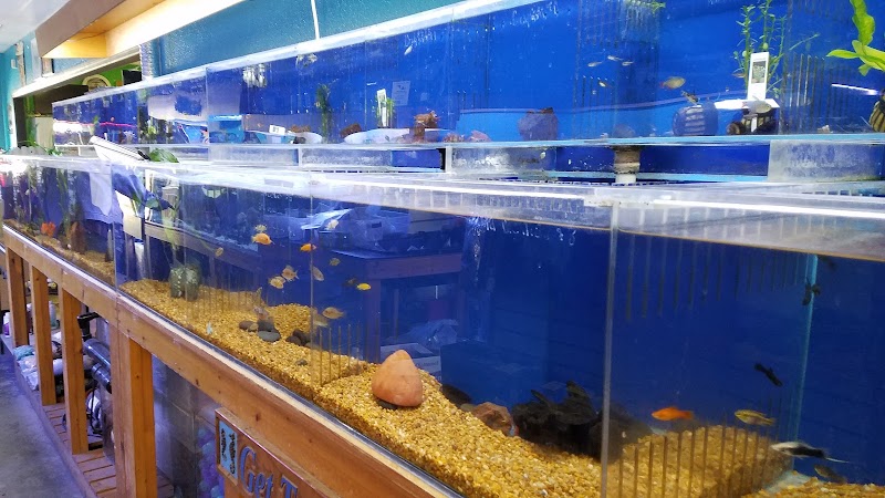 Treasure Cove Pet shop - Photo 5