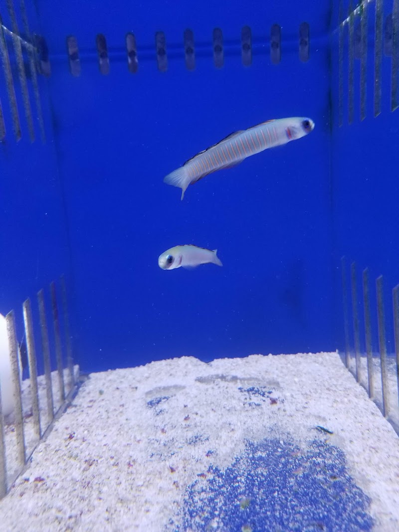 What's In Your Tank - Photo 3