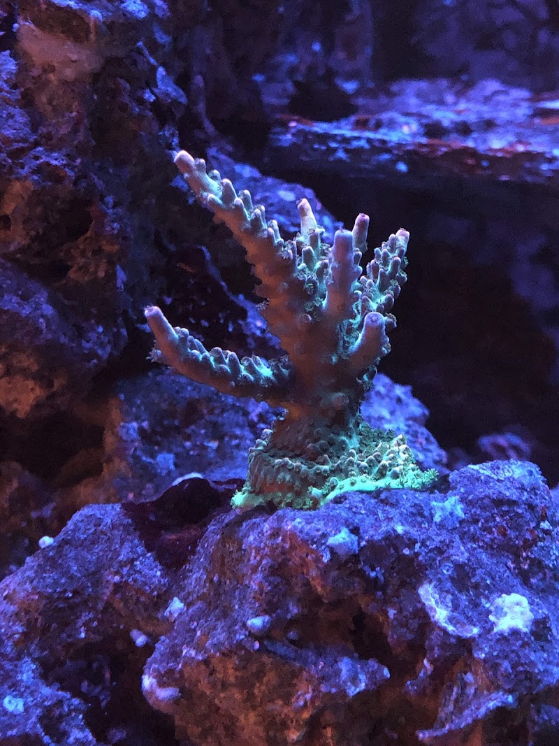 What's In Your Tank - Photo 4