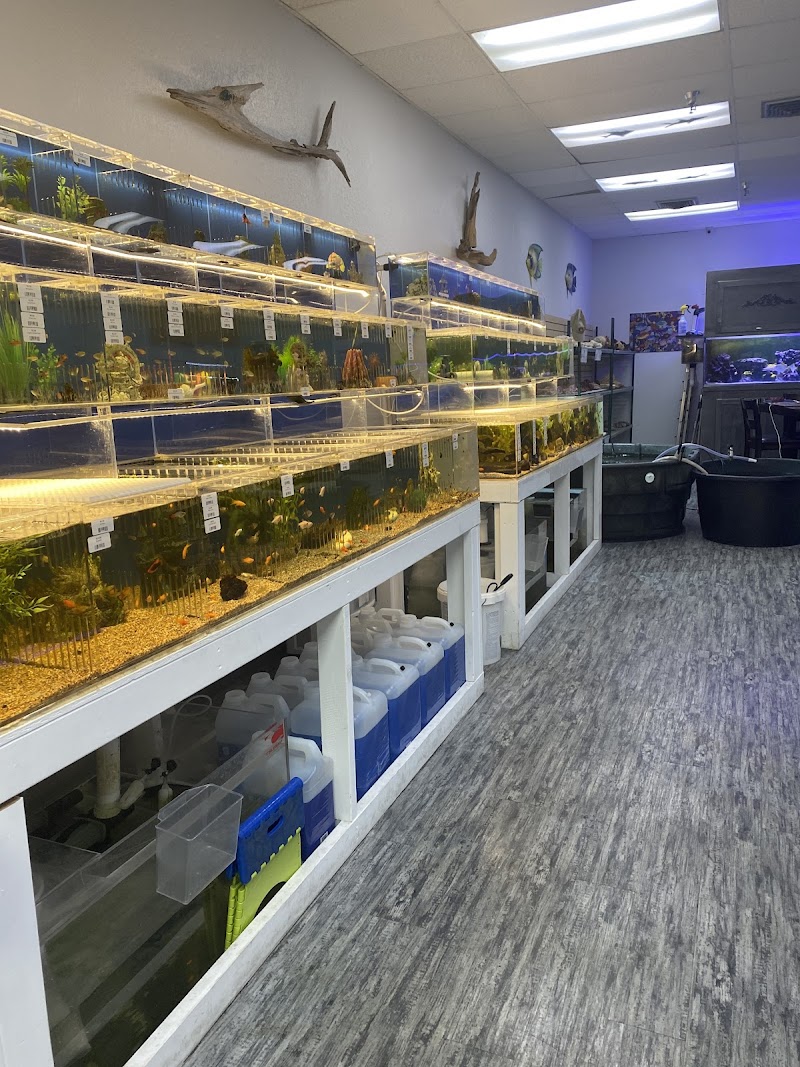 What's In Your Tank - Photo 5