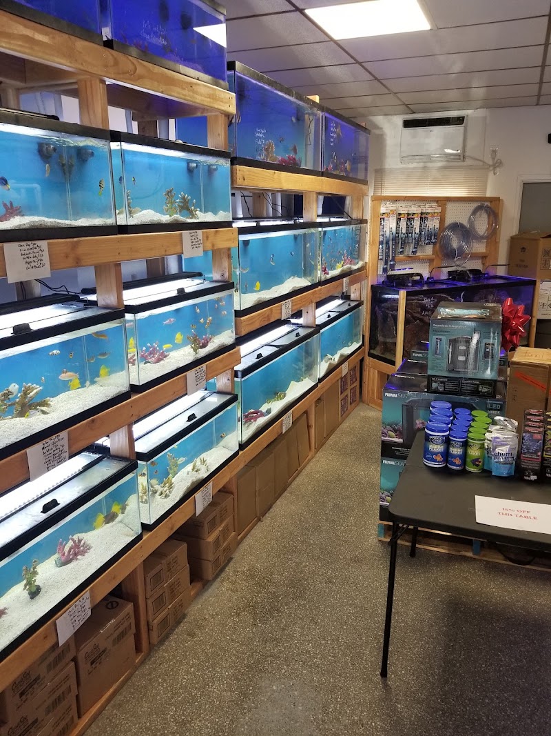 St. Pete Saltwater Aquarium Store - Photo 2