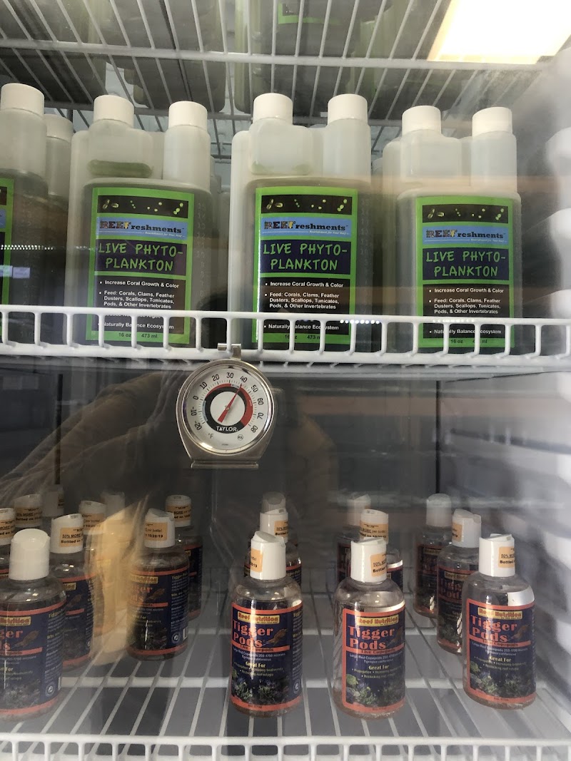 St. Pete Saltwater Aquarium Store - Photo 4