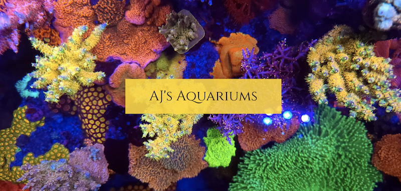 AJ's Aquariums LLC - Photo 1