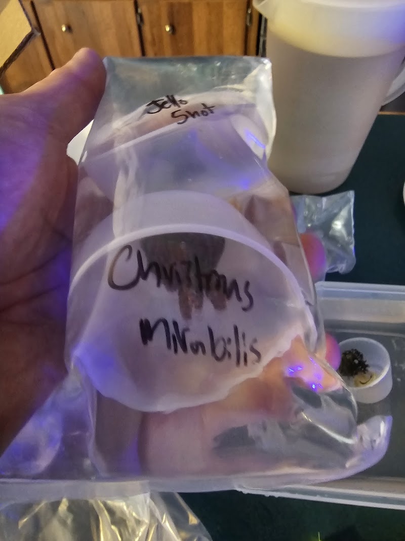 AJ's Aquariums LLC - Photo 4