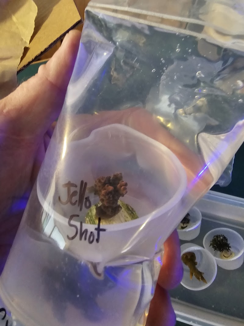 AJ's Aquariums LLC - Photo 5