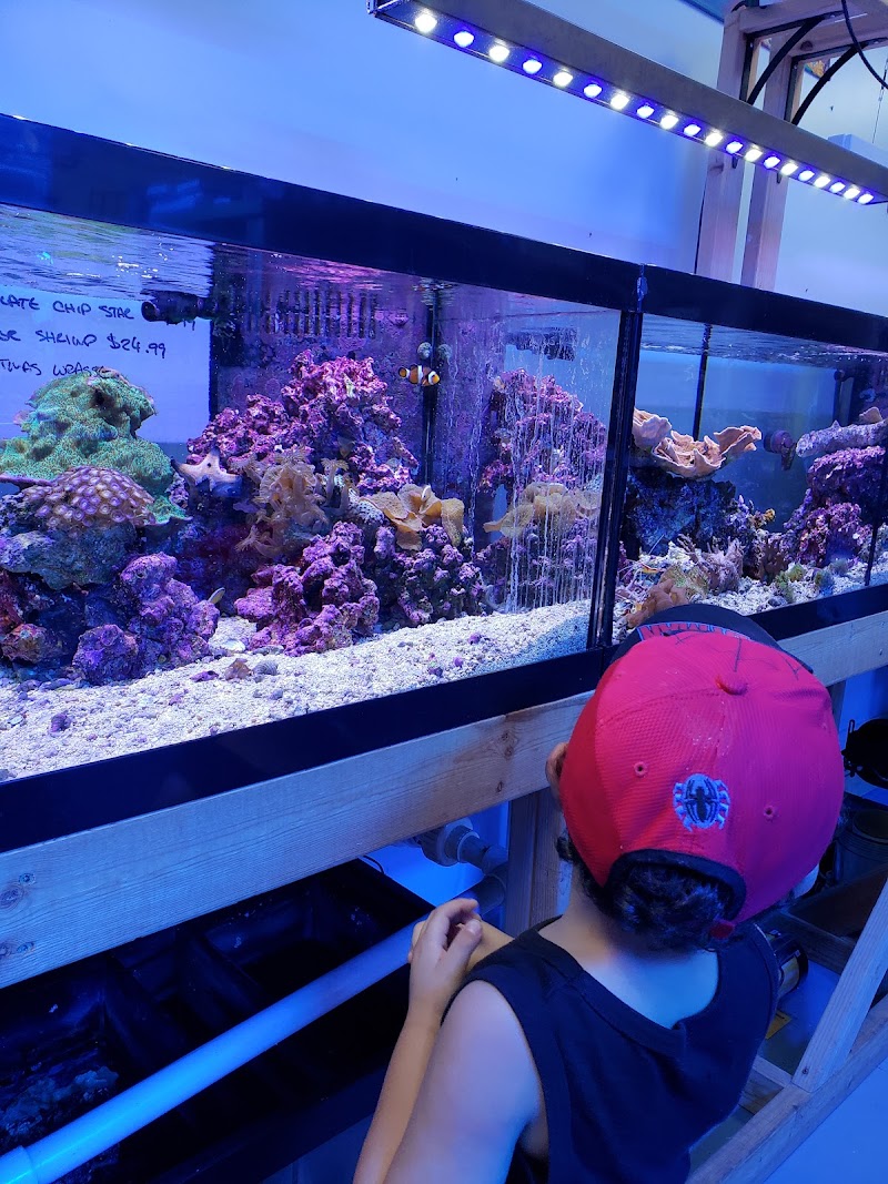 High Tide Aquarium - Photo 1