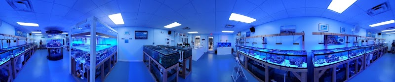 High Tide Aquarium - Photo 2