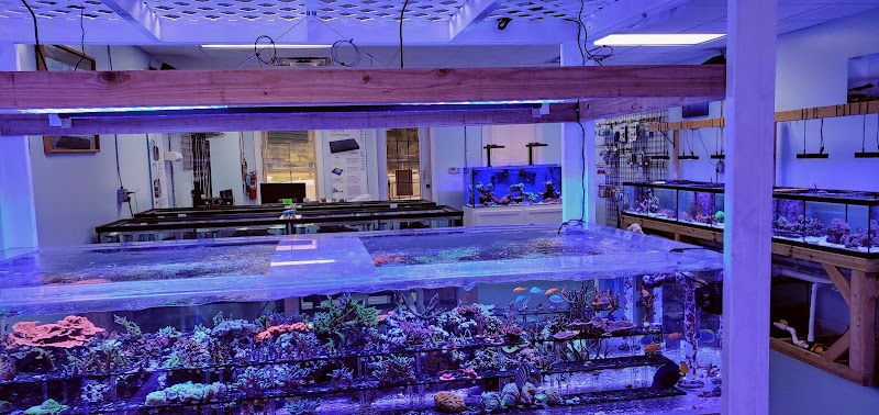 High Tide Aquarium - Photo 5