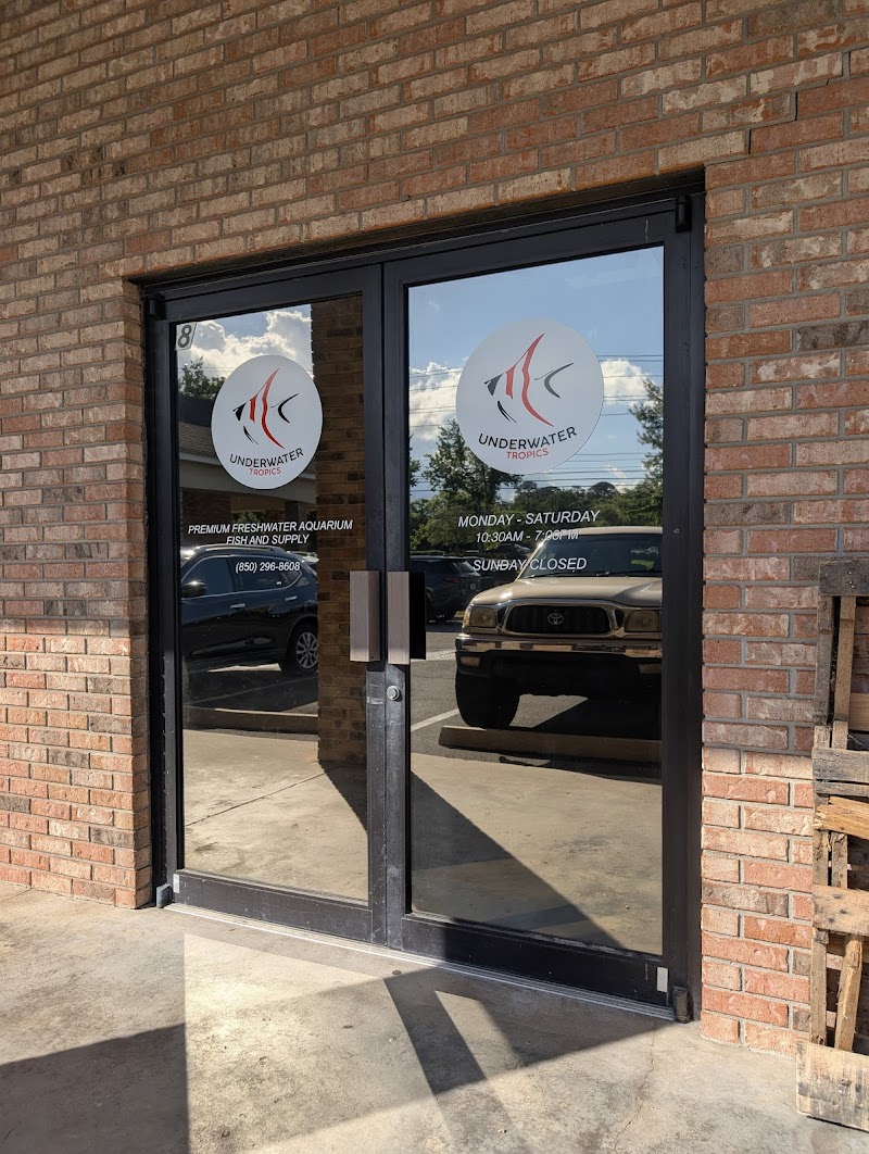 Underwater Tropics - Photo 1