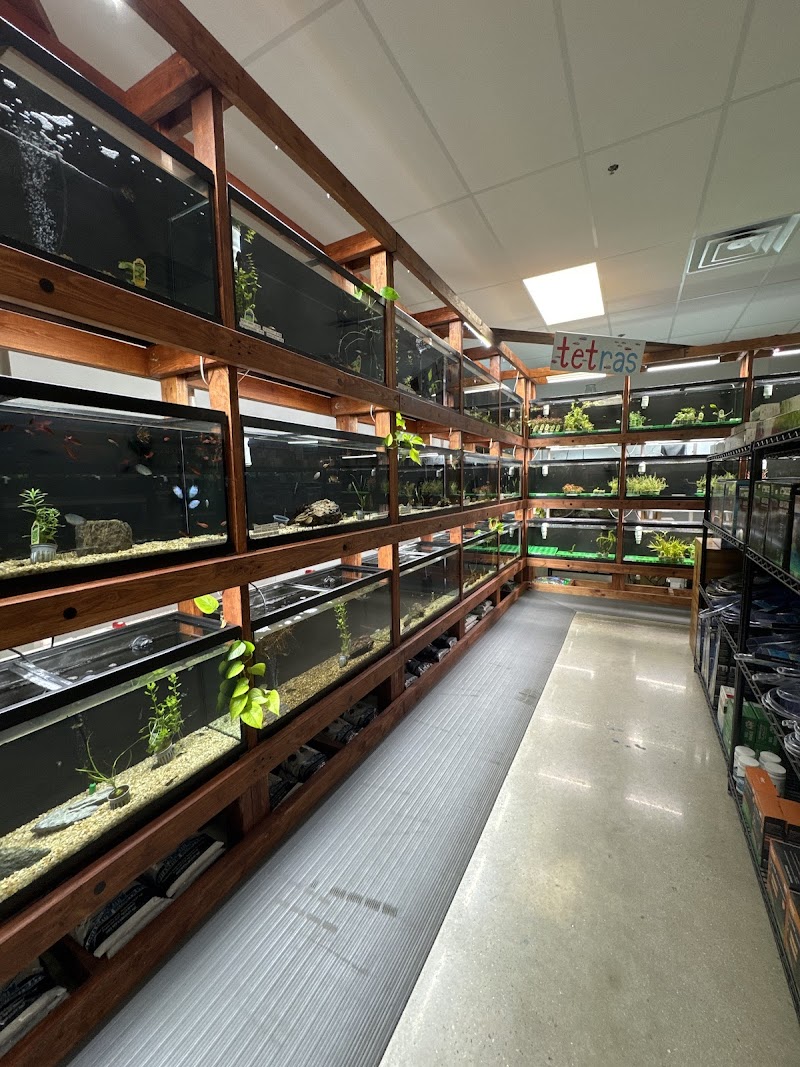 Underwater Tropics - Photo 2