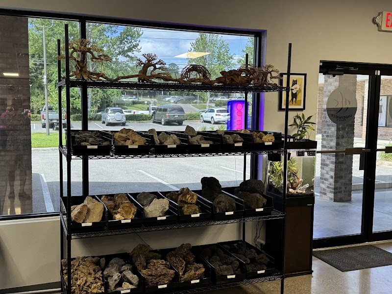 Underwater Tropics - Photo 5