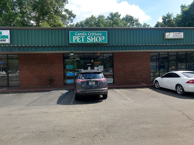 Carol's Critters - Photo 1