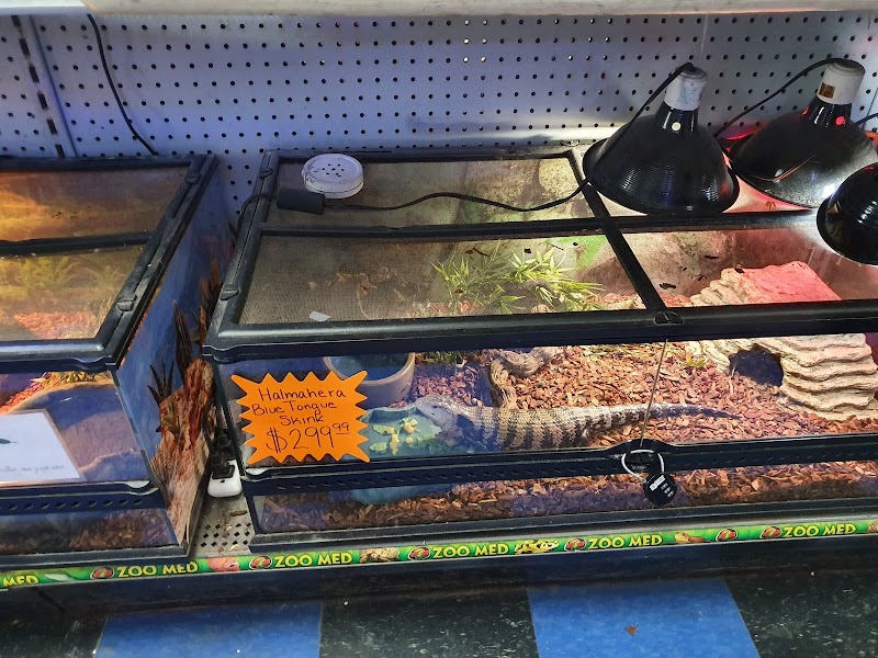 Carol's Critters - Photo 2