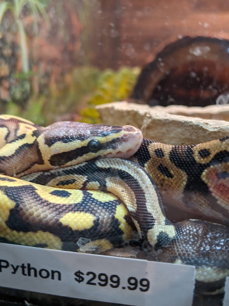 Carol's Critters - Photo 4