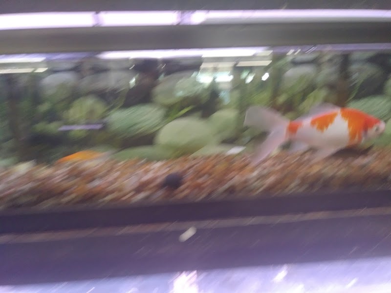 Panhandle Pet Supply - Photo 2