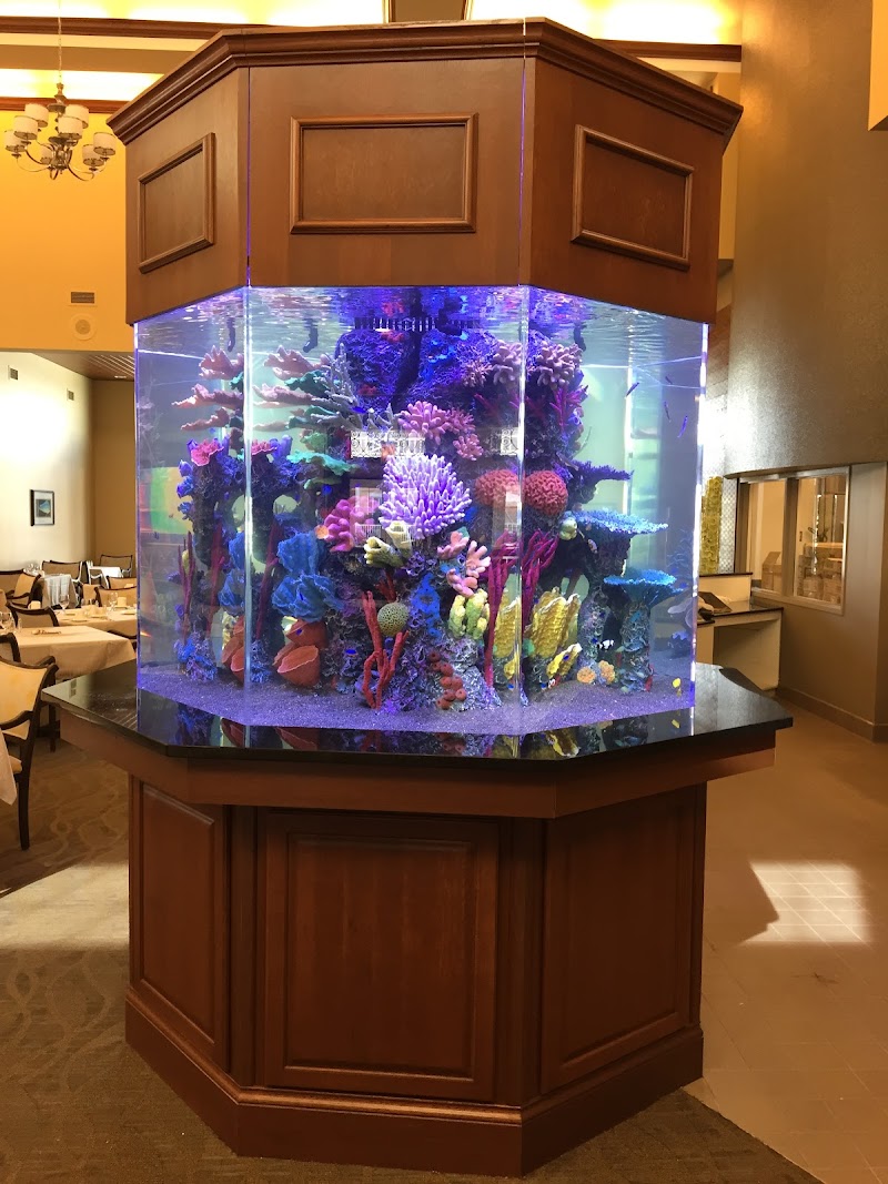 Creative Aquariums of Tampa - Photo 3