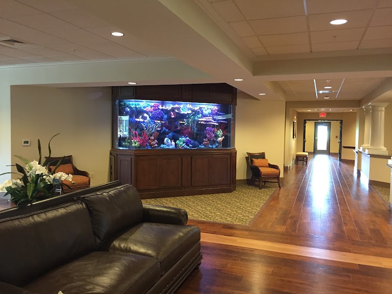 Creative Aquariums of Tampa - Photo 4