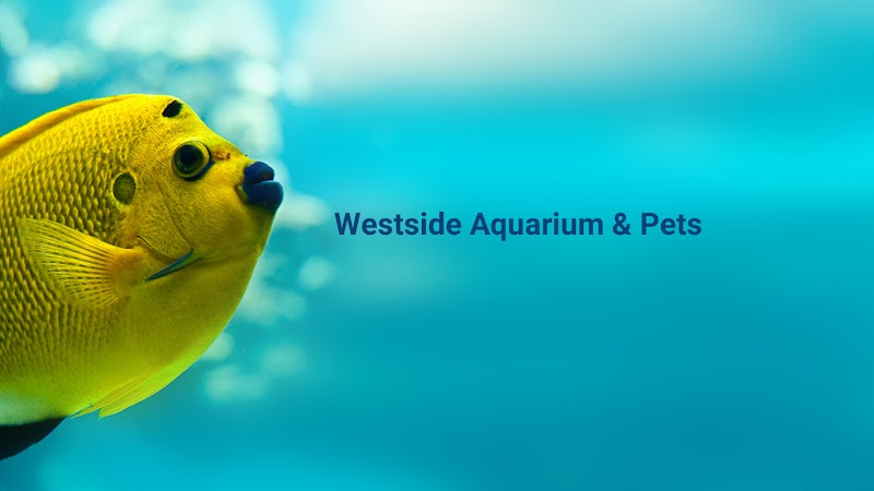 Westside Aquarium & Pets - Photo 2