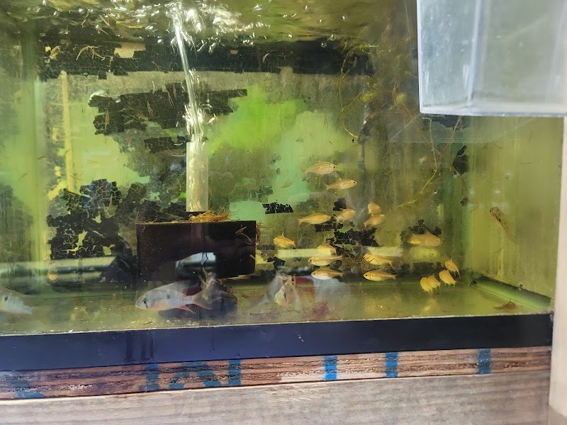 Westside Aquarium & Pets - Photo 3