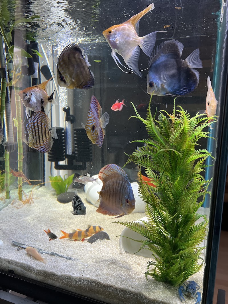 Westside Aquarium & Pets - Photo 4