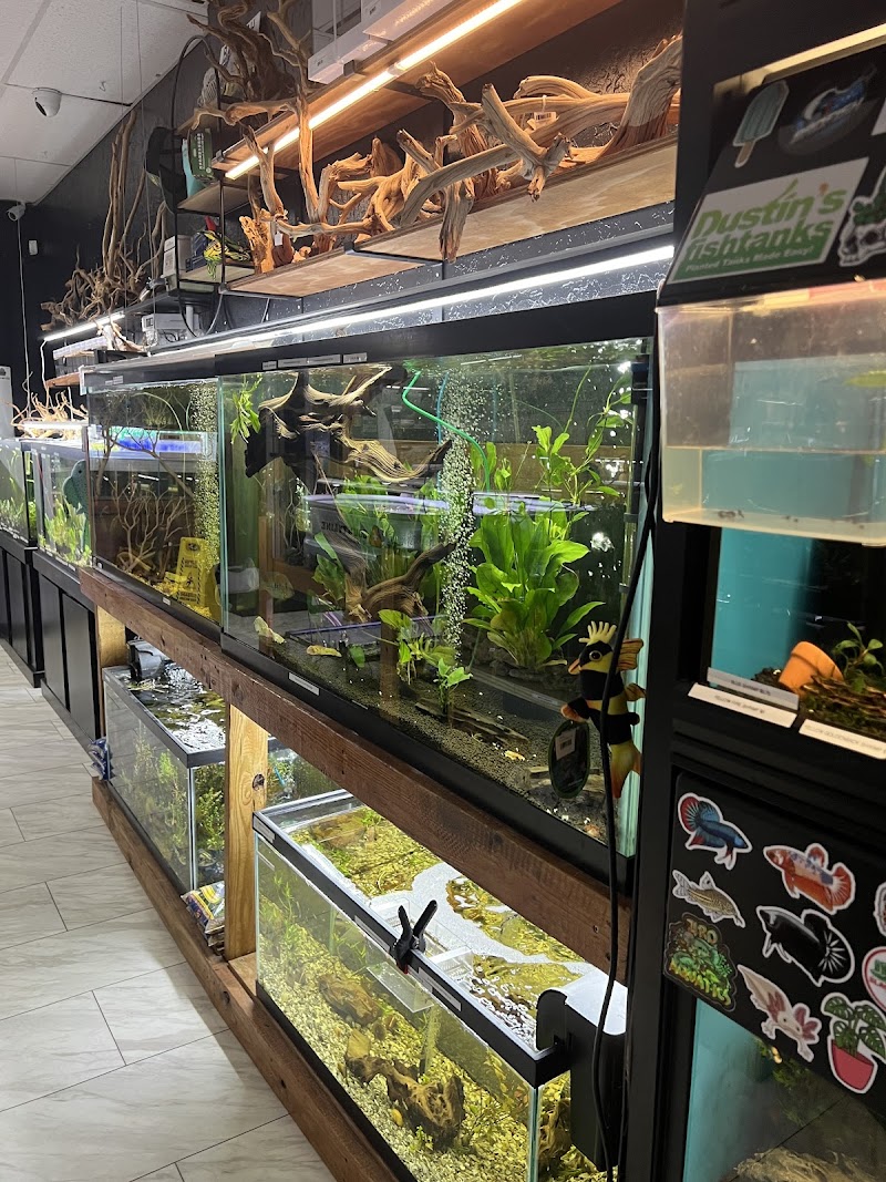 Badfish Florida LLC - Photo 3