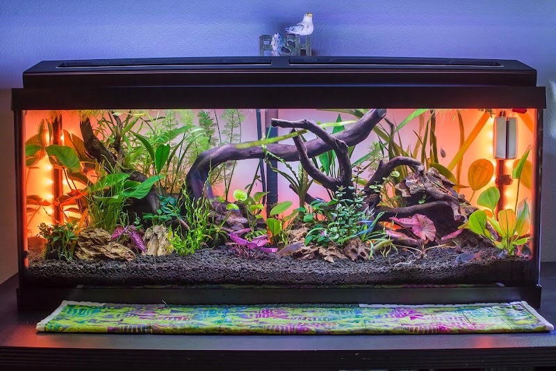 Badfish Florida LLC - Photo 4