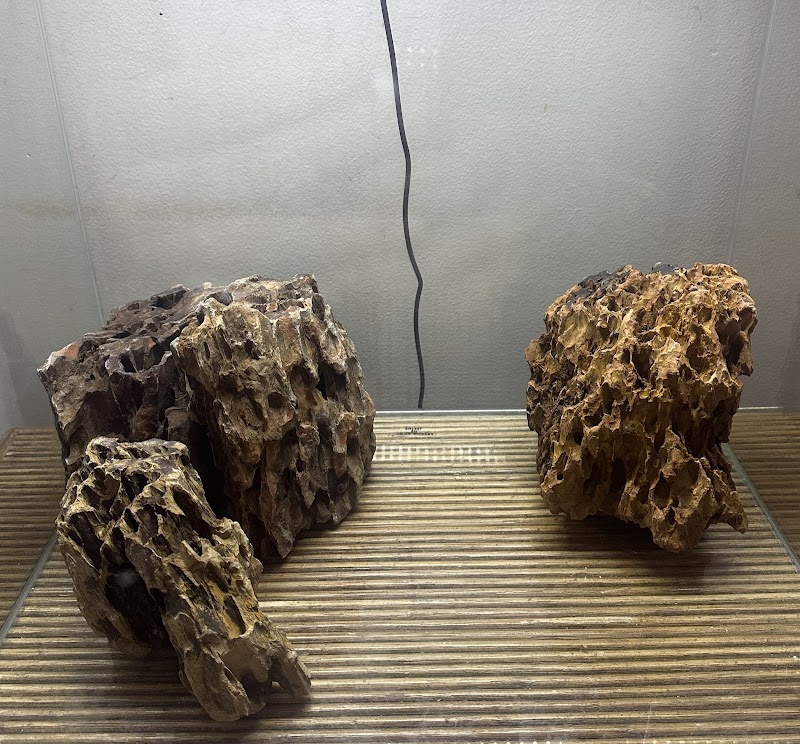 Badfish Florida LLC - Photo 5