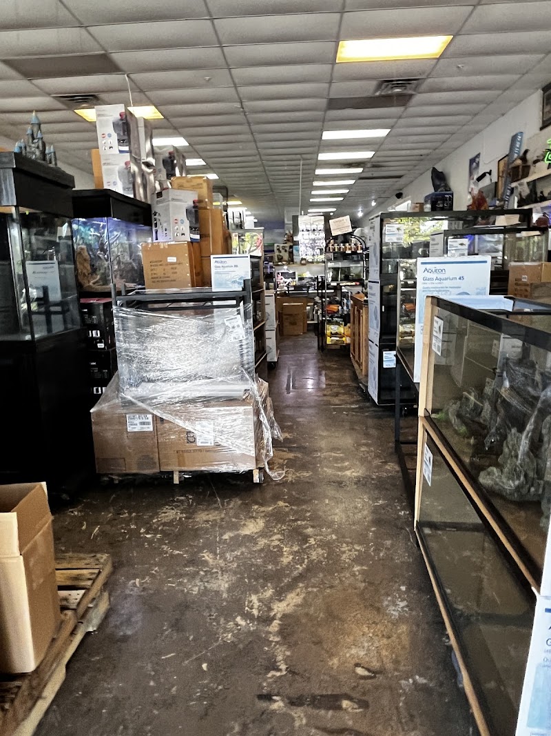 Fish Fantasia - Photo 2