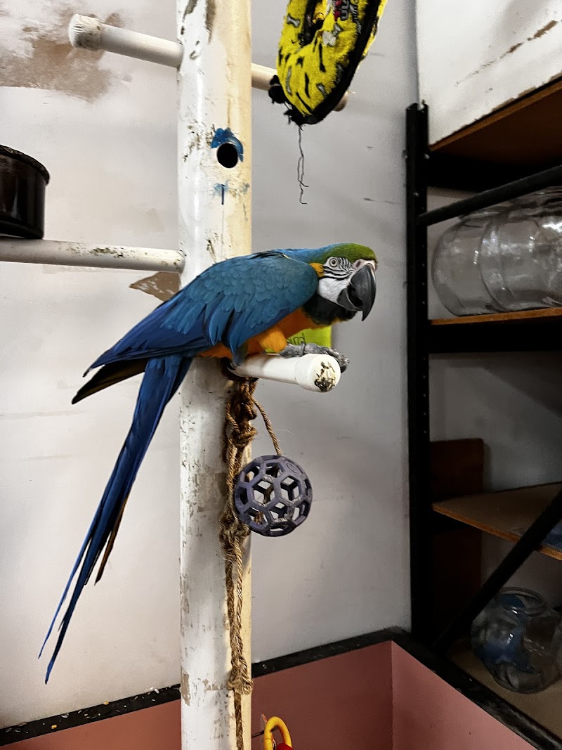 Fish Fantasia - Photo 4