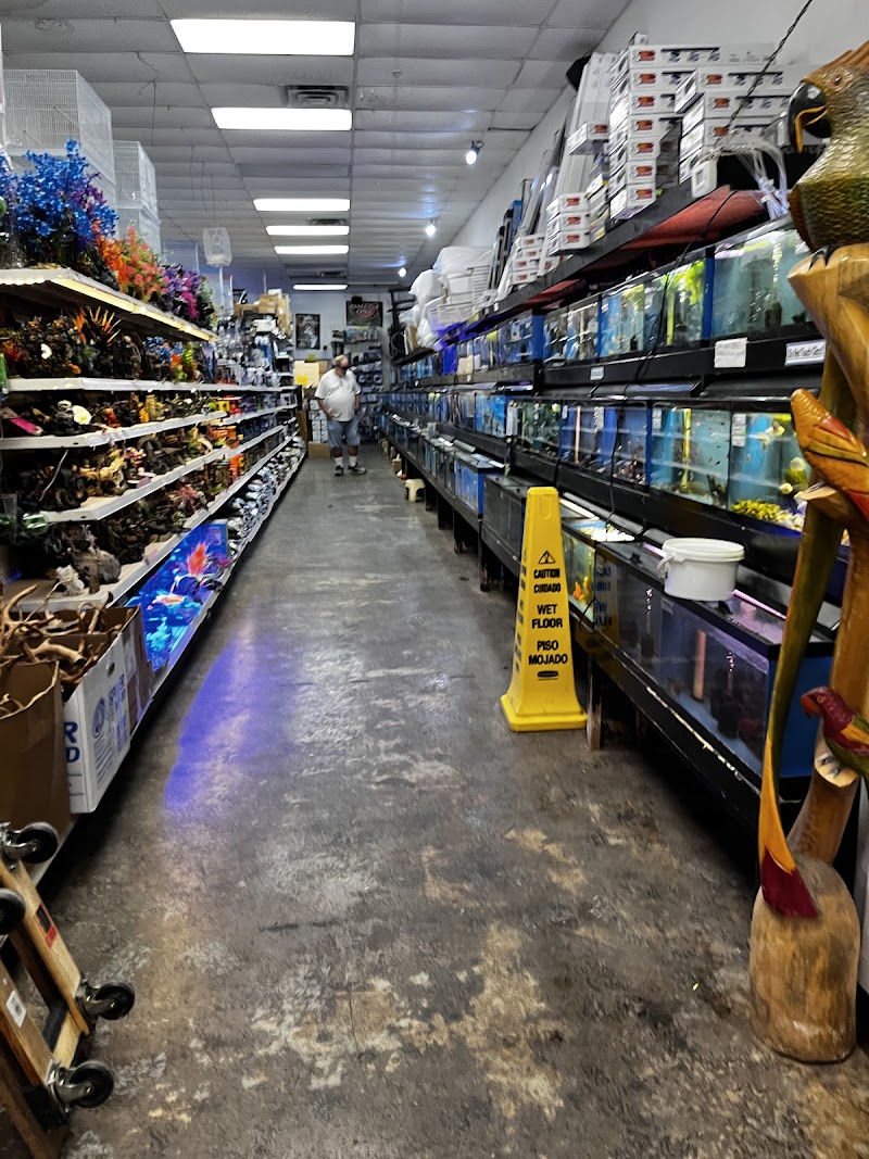 Fish Fantasia - Photo 5